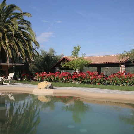 Agriturismo Ada Musso Ss Diano Borello Ngoại thất bức ảnh
