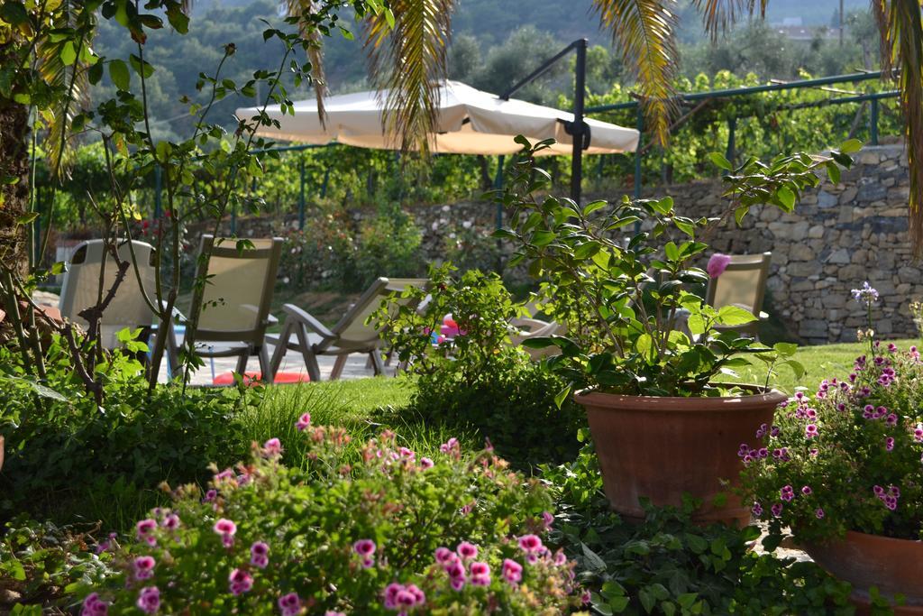 Agriturismo Ada Musso Ss Diano Borello Ngoại thất bức ảnh